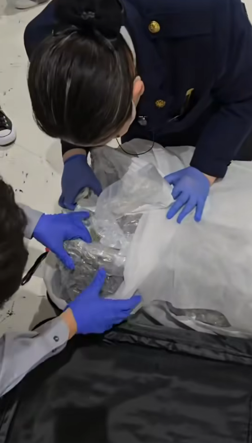 遊日夫婦誤取行李箱驚見24公斤大麻 遭扣留10小時調查 夫婦下場如此 