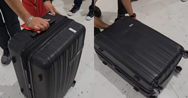 遊日夫婦誤取行李箱驚見24公斤大麻 遭扣留10小時調查 夫婦下場如此 