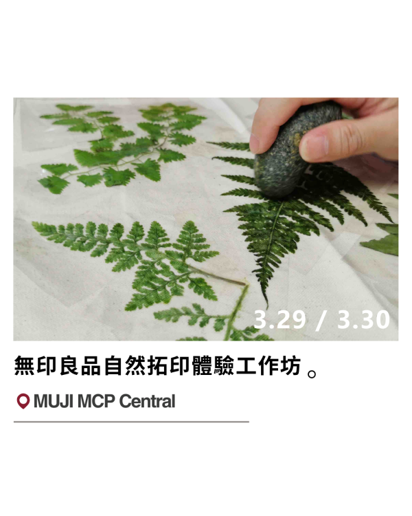 將軍澳新都城無印良品MUJI開幕！8大限定優惠低至$10/增設4大專區