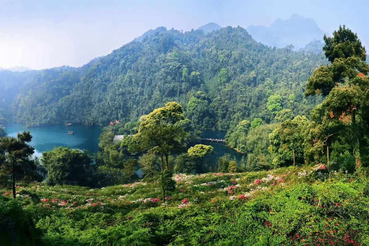 肇慶景點|10大肇慶自由行景點推介!七星岩/鼎湖山/蝴蝶谷!國家5A級旅遊景區