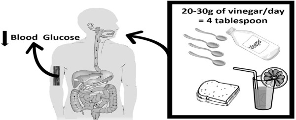 降血糖神器！餐前食醋有助控制血糖食用份量多少？營業師指配澱粉食物有效