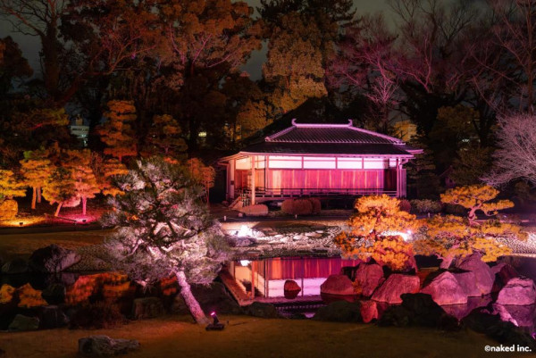 2025日本15大必去賞櫻景點！東京/伊豆/京都/青森/福岡/奈良/關西 