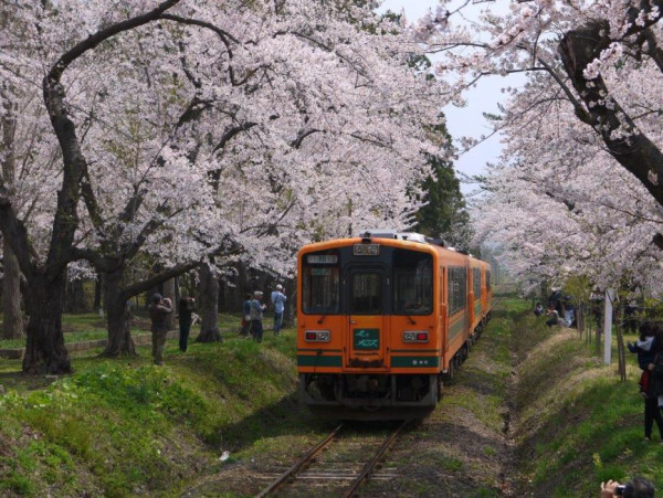 2025日本15大必去賞櫻景點！東京/伊豆/京都/青森/福岡/奈良/關西 