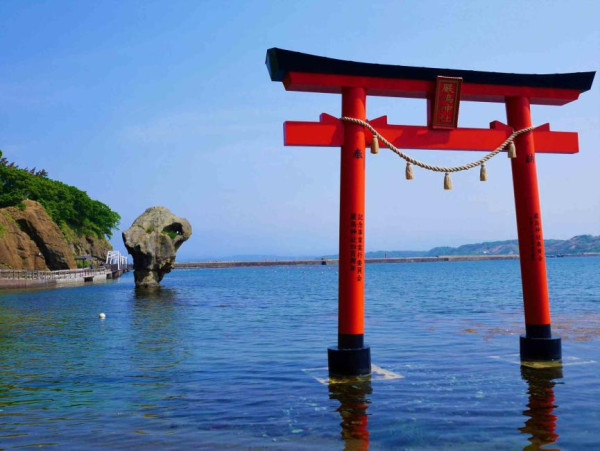 2025日本15大必去賞櫻景點！東京/伊豆/京都/青森/福岡/奈良/關西 