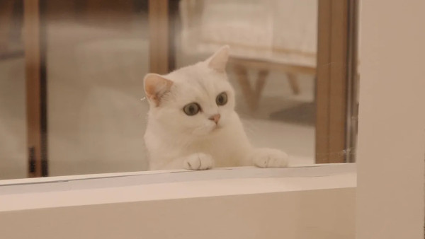 佛山自由行好去處推介！玩轉祖廟/容桂/大良攻略 附佛山一日遊/三日兩夜路線 