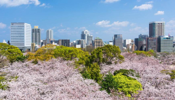 2025日本15大必去賞櫻景點！東京/伊豆/京都/青森/福岡/奈良/關西 