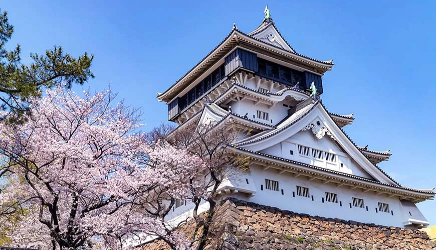 2025日本15大必去賞櫻景點！東京/伊豆/京都/青森/福岡/奈良/關西 