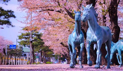 2025日本15大必去賞櫻景點！東京/伊豆/京都/青森/福岡/奈良/關西 
