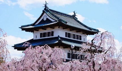 2025日本15大必去賞櫻景點！東京/伊豆/京都/青森/福岡/奈良/關西 