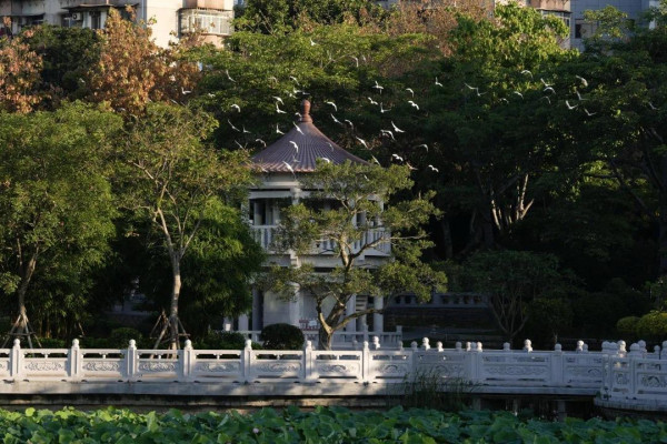 廈門自由行｜廈門旅遊景點逾15個推介！鼓浪嶼/廈門雙子塔/貓咪博物館 