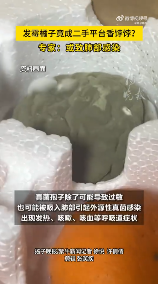 內地二手平台炒價「發霉橙」單價飆至$500 醫生：肝腎損害或致癌