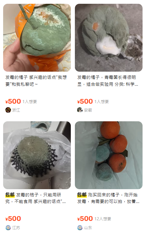 CHIIKAWA麥當勞玩具炒上內地 閑魚小紅書紛紛代購 單件都值呢個價！