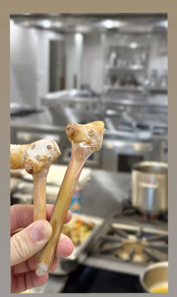 緬甸地震｜前TVB小生陳鍵鋒泰國學廚報平安 去年赴曼谷花6位數讀藍帶 