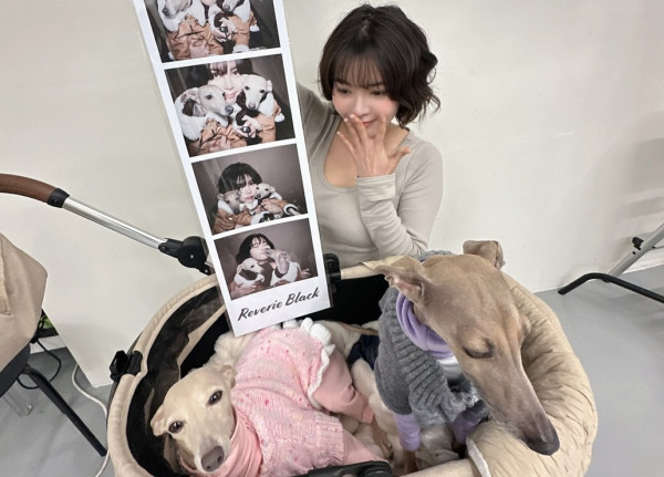 巨大化人生四格