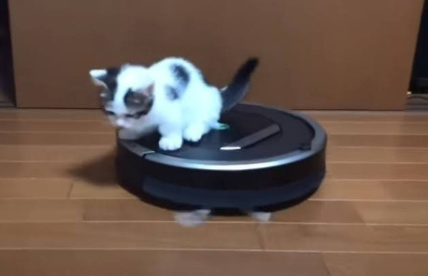 遊日必買｜日本DAISO新推「掃地機器人」！只售550日圓約港幣30蚊！即睇實測用後感 