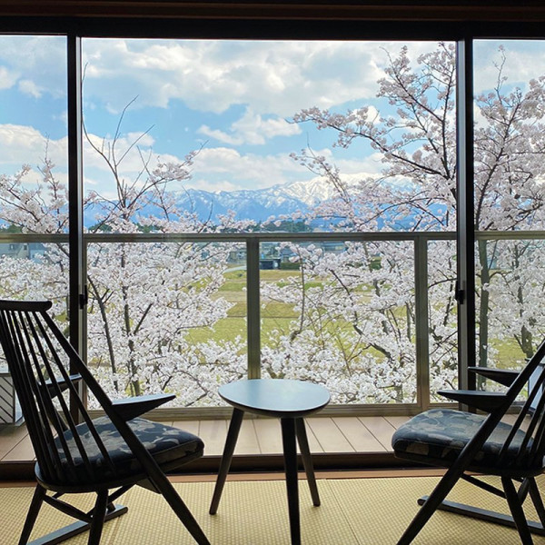 日本露天賞櫻花溫泉勝地10大排行榜！京都/福岡/奈良/富山等！附詳細地址交通 