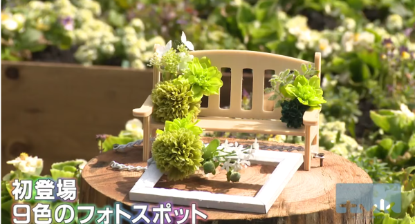 東京旅遊｜橫濱紅磚倉庫花展活動開催中！花卉博物館主題/4大周末市集 