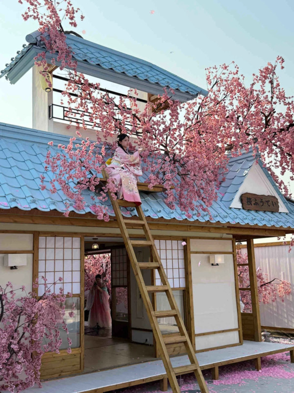 深圳打卡Cafe｜日式庭園配粉色櫻花樹！定期換場景！繡球花異國風情小鎮 