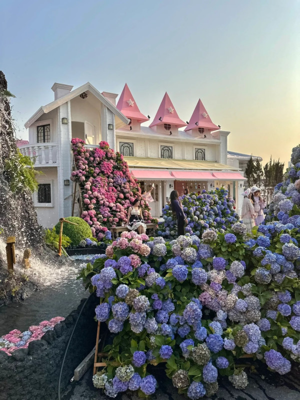 深圳打卡Cafe｜日式庭園配粉色櫻花樹！定期換場景！繡球花異國風情小鎮 