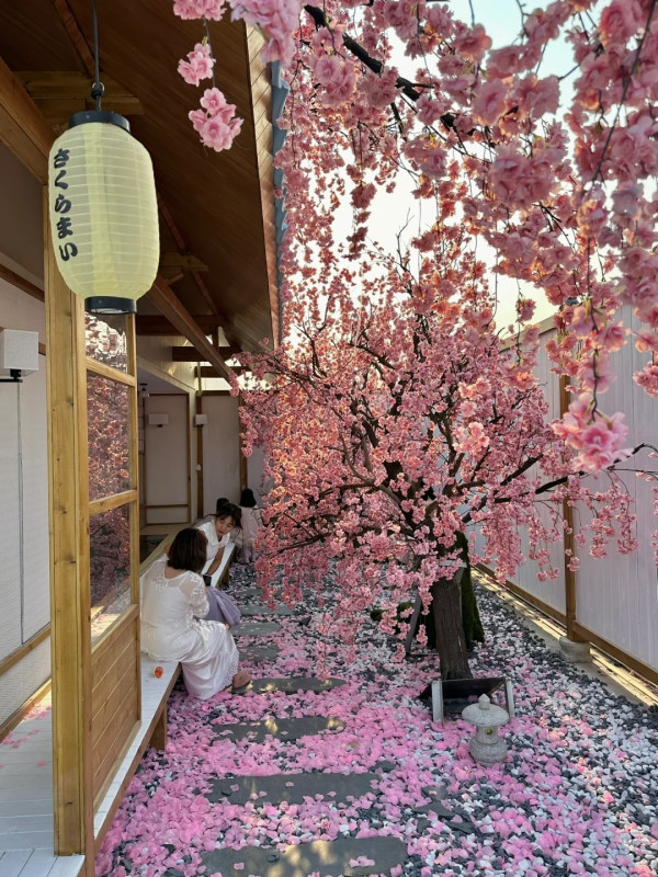 深圳打卡Cafe｜日式庭園配粉色櫻花樹！定期換場景！繡球花異國風情小鎮 