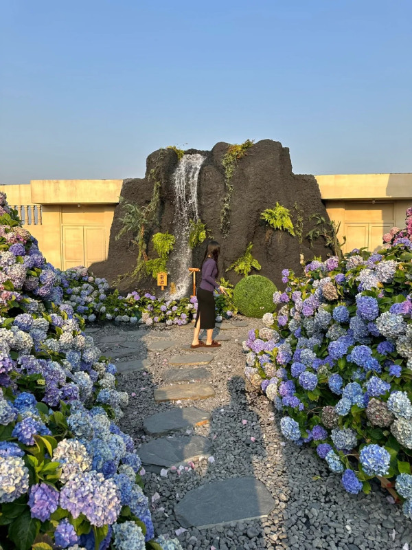 深圳打卡Cafe｜日式庭園配粉色櫻花樹！定期換場景！繡球花異國風情小鎮 