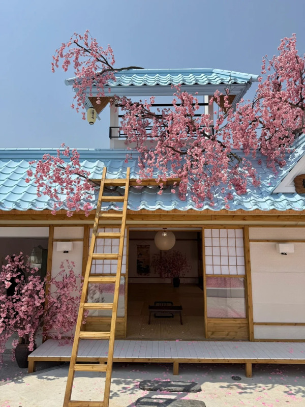 深圳打卡Cafe｜日式庭園配粉色櫻花樹！定期換場景！繡球花異國風情小鎮 