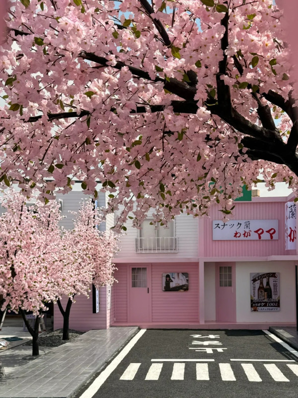 深圳打卡Cafe｜深圳櫻花樹下馬路Cafe！濟州島/沙漠/雪景主題！日韓服裝租借 