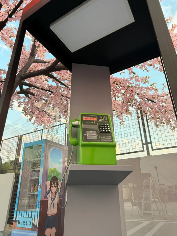 深圳打卡Cafe｜深圳櫻花樹下馬路Cafe！濟州島/沙漠/雪景主題！日韓服裝租借 