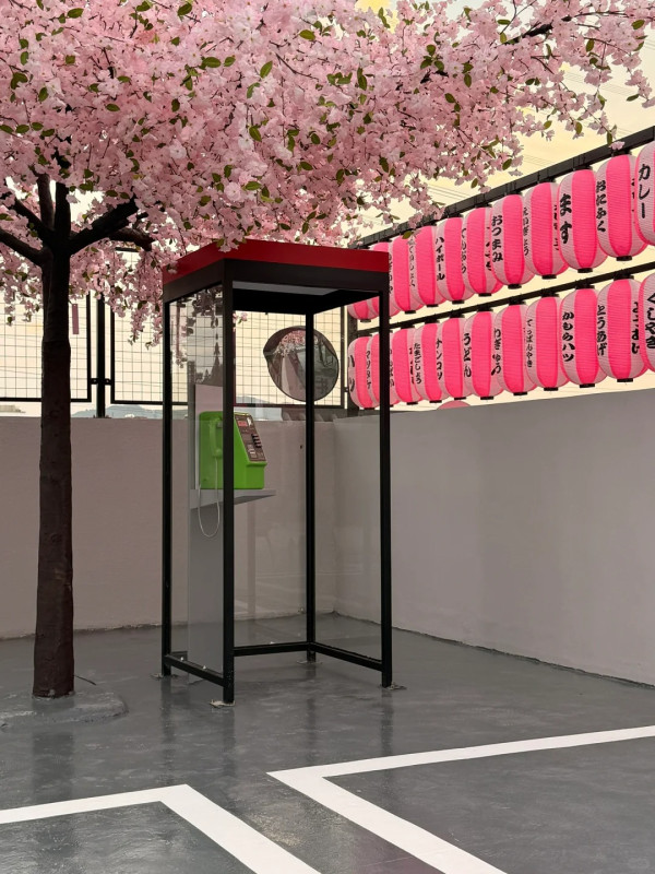 深圳打卡Cafe｜深圳櫻花樹下馬路Cafe！濟州島/沙漠/雪景主題！日韓服裝租借 