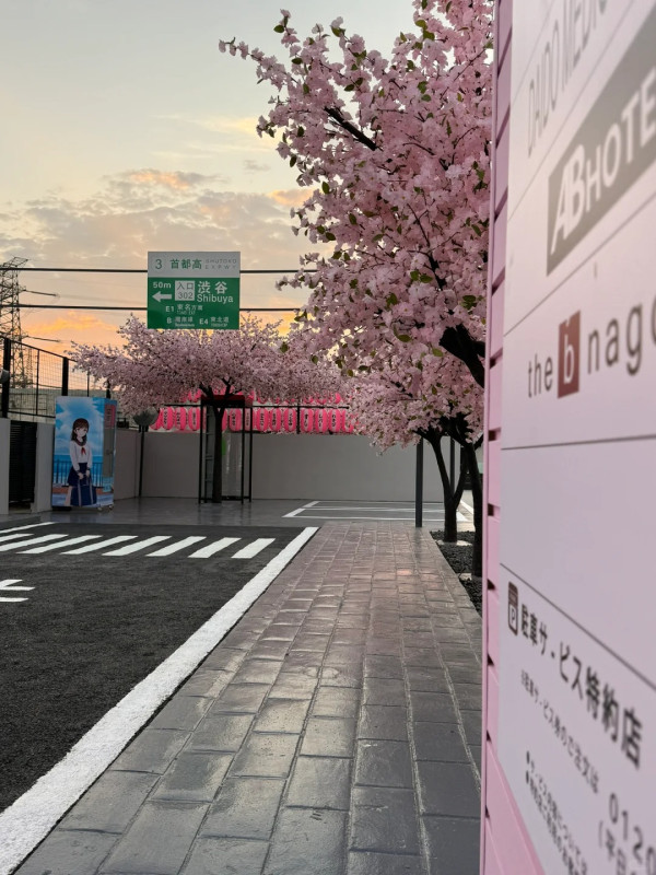 深圳打卡Cafe｜深圳櫻花樹下馬路Cafe！濟州島/沙漠/雪景主題！日韓服裝租借 