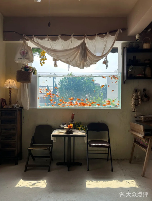 深圳打卡Cafe｜深圳櫻花樹下馬路Cafe！濟州島/沙漠/雪景主題！日韓服裝租借 