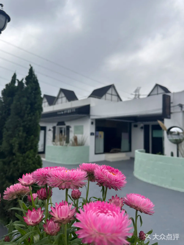 深圳打卡Cafe｜深圳櫻花樹下馬路Cafe！濟州島/沙漠/雪景主題！日韓服裝租借 