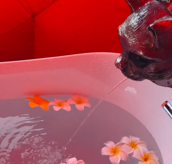 日本全新藝術館重磅開幕 湖面漂浮著一個巨型貓島 