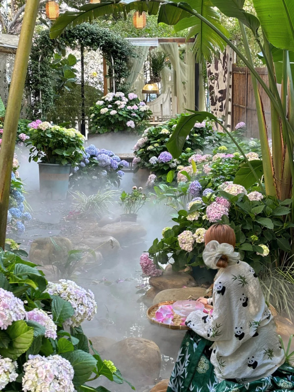 深圳沉浸式Cafe有如秘密花園!繡球花海+瀑布石牆+租借仙女裙打卡一流