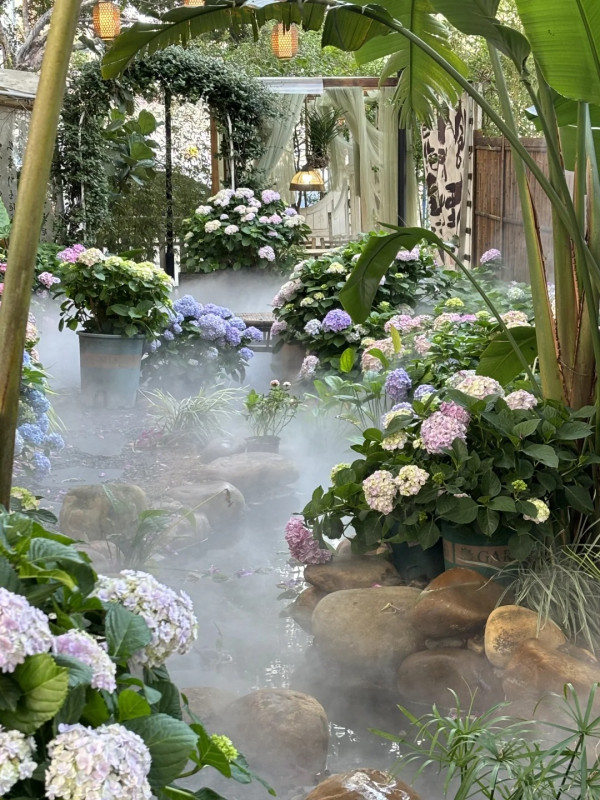 深圳沉浸式Cafe有如秘密花園!繡球花海+瀑布石牆+租借仙女裙打卡一流