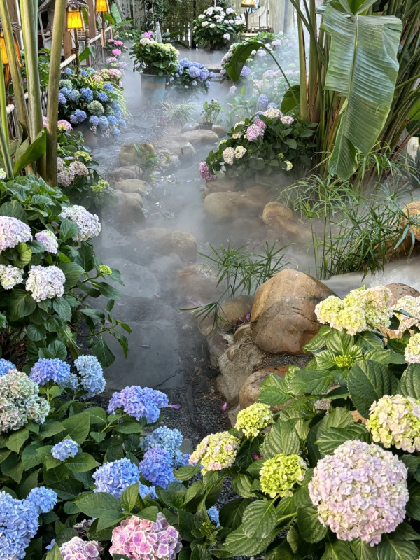 深圳沉浸式Cafe有如秘密花園!繡球花海+瀑布石牆+租借仙女裙打卡一流