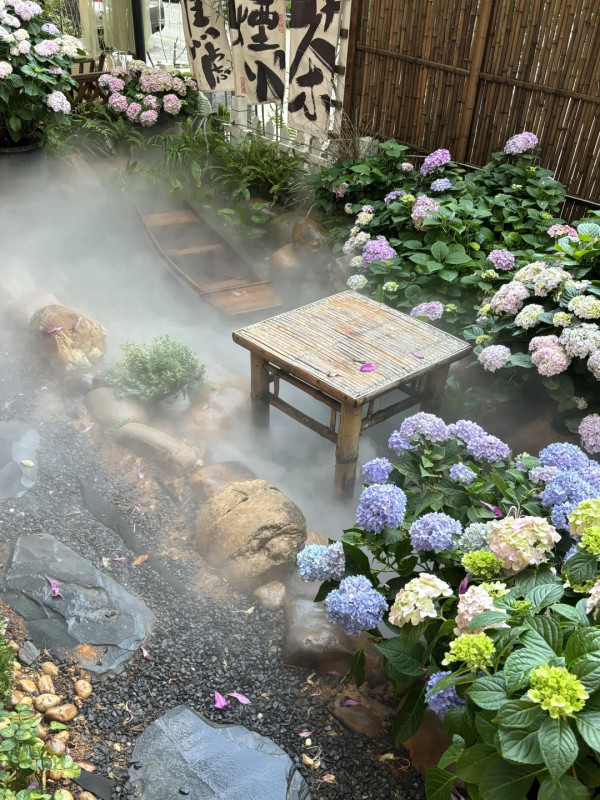 深圳沉浸式Cafe有如秘密花園!繡球花海+瀑布石牆+租借仙女裙打卡一流