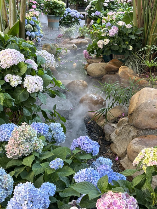 深圳沉浸式Cafe有如秘密花園!繡球花海+瀑布石牆+租借仙女裙打卡一流