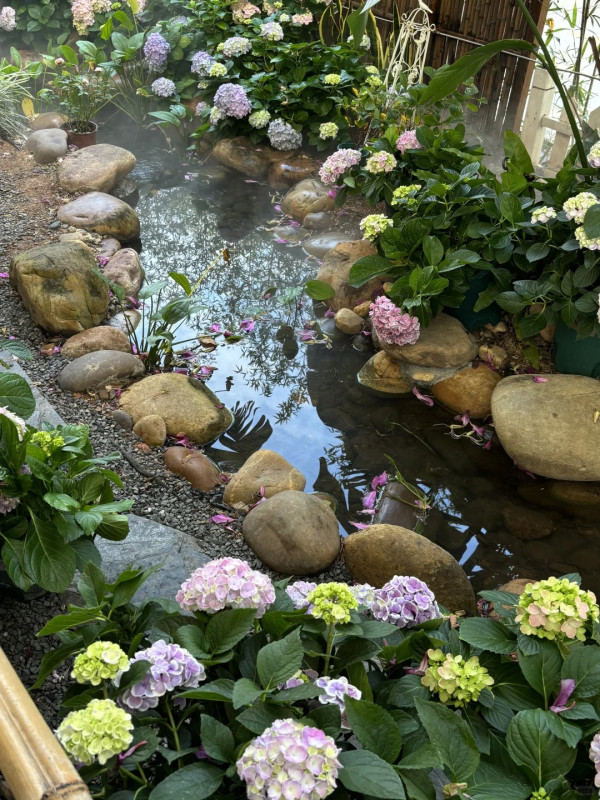 深圳沉浸式Cafe有如秘密花園!繡球花海+瀑布石牆+租借仙女裙打卡一流