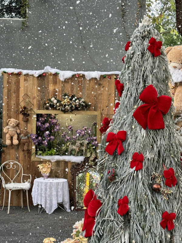 深圳沉浸式Cafe有如秘密花園!繡球花海+瀑布石牆+租借仙女裙打卡一流