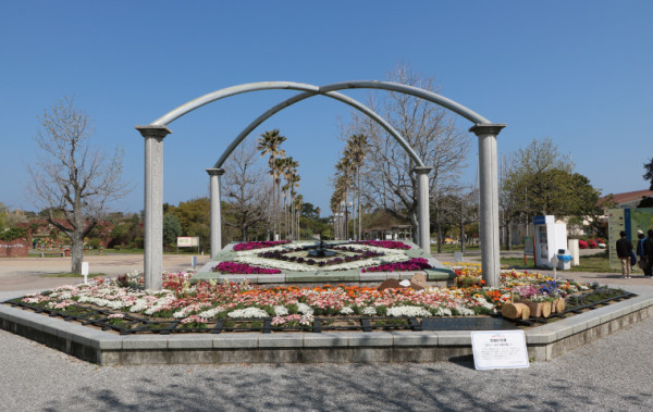 福岡海中道海濱公園花展2025｜百萬粉蝶花藍海！櫻花/鬱金香同時綻放！限定主題甜點 