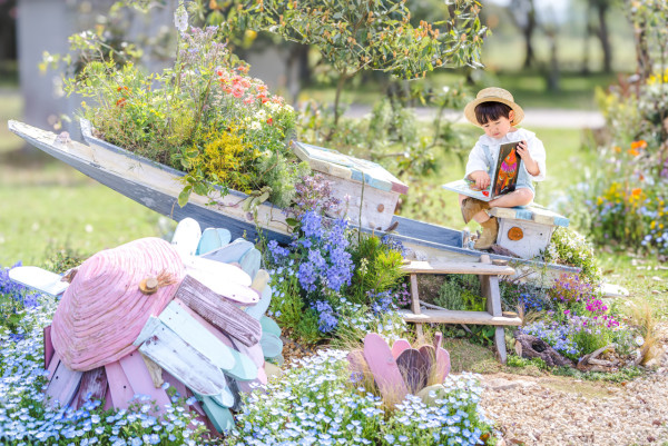 福岡海中道海濱公園花展2025｜百萬粉蝶花藍海！櫻花/鬱金香同時綻放！限定主題甜點 