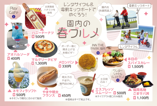 福岡海中道海濱公園花展2025｜百萬粉蝶花藍海！櫻花/鬱金香同時綻放！限定主題甜點 