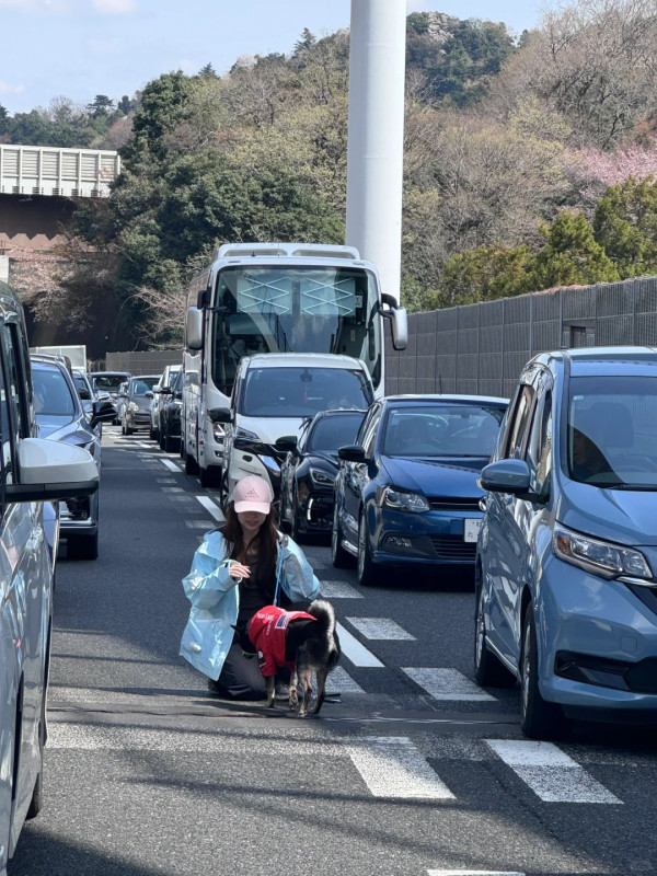 內地女著高踭鞋玩跑步機摔傷 健身室慘被判賠這金額 網民：新型碰瓷？ 