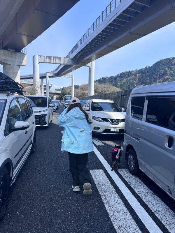 內地女著高踭鞋玩跑步機摔傷 健身室慘被判賠這金額 網民：新型碰瓷？ 