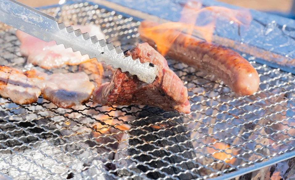 東京昭和紀念公園花卉節2025｜1500棵櫻花/鬱金香/罌粟！限定美食BBQ！附交通攻略 