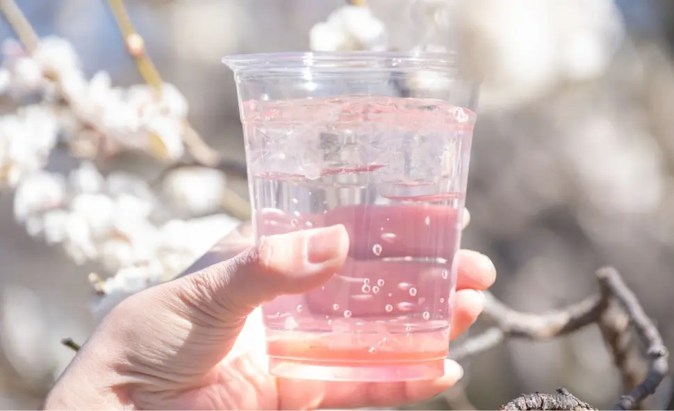 東京昭和紀念公園花卉節2025｜1500棵櫻花/鬱金香/罌粟！限定美食BBQ！附交通攻略 