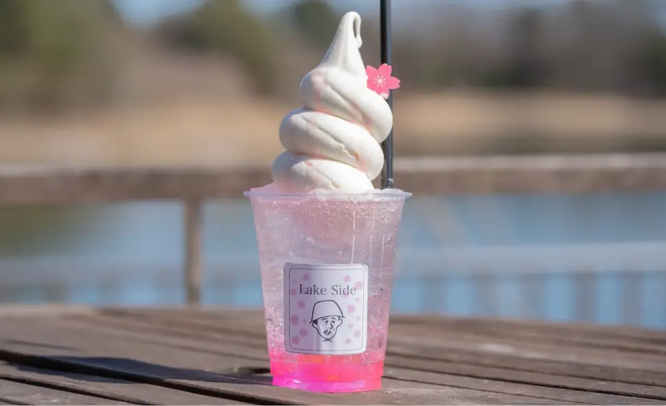 東京昭和紀念公園花卉節2025｜1500棵櫻花/鬱金香/罌粟！限定美食BBQ！附交通攻略 