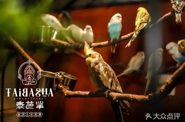 深圳福田泰式按摩店推介！精油SPA+古法按摩+泰服租借打卡！ 