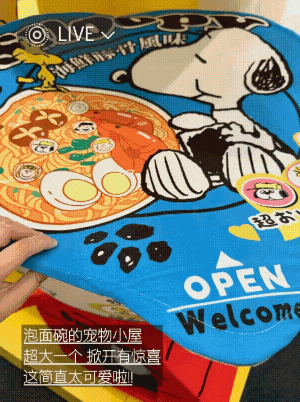 深圳Snoopy展｜7米高巨型史努比現身前海K11 ECOAST！普普風藝術展免費入場 